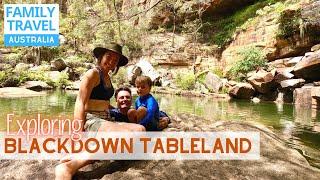 National Park Adventure | Rainbow Falls | Caravan Issues | Family Road Trip Travel Australia EP 60