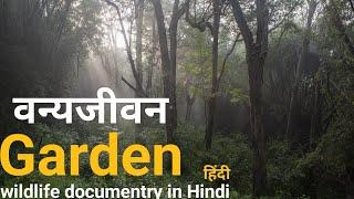 Garden of the gods - हिंदी डॉक्यूमेंट्री ! Bhumdya Sagar Wildlife documentry