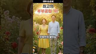 무속인이 말하는 최고의 부부궁합 띠는?