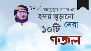 মাহফুজুল আলম এর হৃদয় জুড়ানো সেরা ১০টি গজল ||  Mahfujul Alam Top 10 Ghazal || Mahfuzul Alom