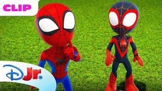 Marvel's Spidey and his Amazing Friends | The Campout Mystery ️ | @disneyjr