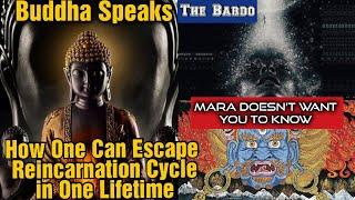 Buddha~3 Things You Can Do to Escape Reincarnation Cycle in This Lifetime