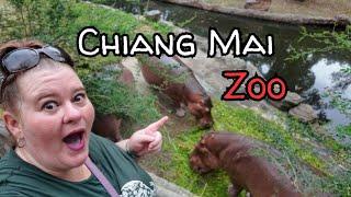 Chiang Mai Zoo Thailand | know before you go