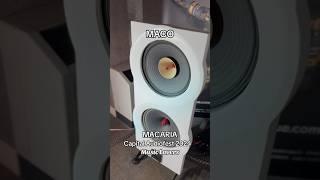 Capital Audiofest 2024: MACO MACARIA #audiophile #music #musiclovers