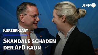 Analyse: Skandale schaden der AfD kaum | AFP