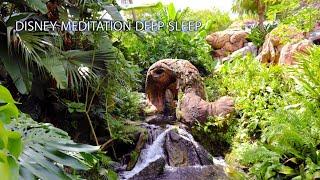 Disney Meditation Soothing River Waterfall Animal Kingdom 10 Hour Deep Sleep Calm Relaxing Dreams