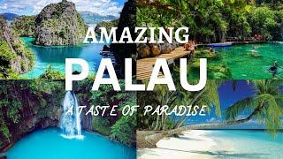 Reel Happy Travellers welcome Palau Micronesia.A hidden paradise on Earth