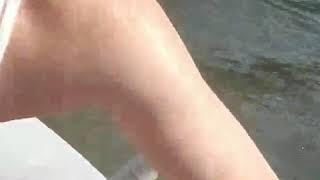 The Bird & Mef 11 show special guess amid 
