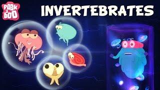 Invertebrates | The Dr. Binocs Show | Learn Videos For Kids