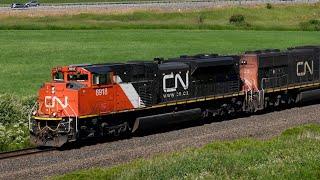 Canadian National Freight Trains in the US