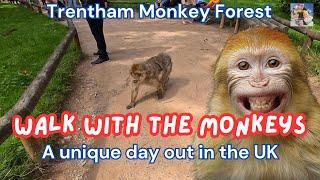 Fun-Filled Family Day at Trentham Monkey Forest | Exploring Nature & Wildlife in the UK