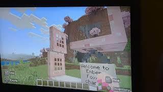 My first Video Minecraft builds