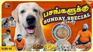 Chottuக்கு Sema வேட்ட | Food for all dogs | Vlog 42 | Mr.Chottu