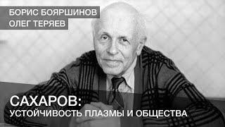Сахаров: Устойчивость плазмы и устойчивость общества в теории конвергенции