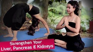 HOT YOGA: Strengthen Your Liver, Pancreas & Kidneys