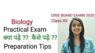 Biology Practical Exam Preparation | CBSE Class 12 Board Exams 2020