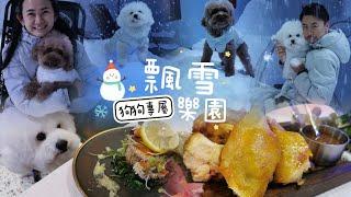 全港首個狗狗飄雪樂園️Teddy凍齡生日️【小腳掌大世界】