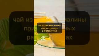 Чай из листьев малины при желудочных расстройствах #натуральное #народнаямедицина #рецепт #здоровье