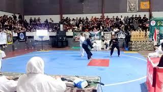 kejuaraan pencak silat (se-lumajang) full video durasi