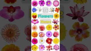 Flowers Name :- Part- 01#flowers #flowersname #flowernames #flower #gardenflowers #flowersshorts