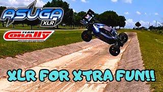 Massive Buggy FromTeam Corally The Asuga XLR Honest Review And Bash