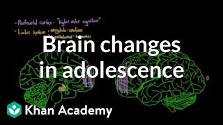 Brain changes during adolescence | Behavior | MCAT | Khan Academy