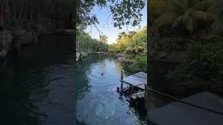 Cenotes Casa Tortuga ️