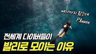 왜 전세계 다이버들이 발리로 모여들까? 다이버라면 꼭 한 번 가보고 싶은 곳 발리 누사페니다 크리스탈베이 스쿠버다이빙 여행 Ep.3