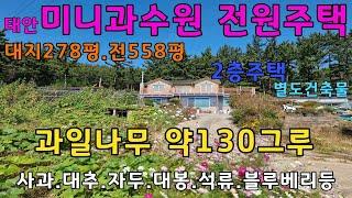 [물건번호 286번]태안 미니과수원급 전원주택입니다. 주택+별도건축물포함 토지면적 837평입니다. 조망과 채광좋고 별장부럽지않은 전원주택입니다