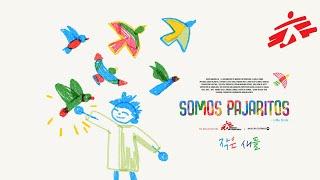 [현장의 목소리] "작은 새들" #SomosPajaritos