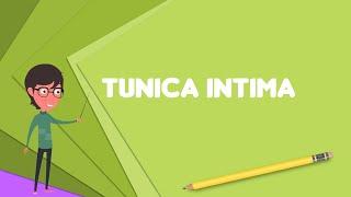 What is Tunica intima? Explain Tunica intima, Define Tunica intima, Meaning of Tunica intima