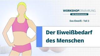 EIWEIß (3/4): Der Eiweißbedarf | Workshop Ernährung