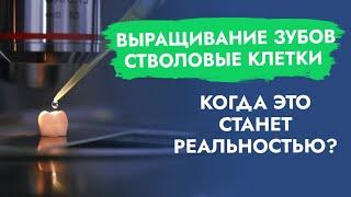 Стволовые клетки. Выращивание зубов. Когда это станет реальностью?