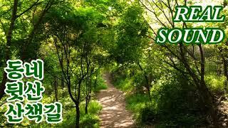 [힐링] 직접 담은 자연의 소리ㅣ산소리ㅣ숲속 새소리ㅣ백색소음ㅣ1시간ㅣ파이팅ㅣ1 hour Nature soundsㅣ