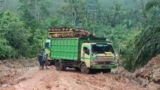 Uji nyali,Driver truk sawit ditanjakan lincin dan berlobang.