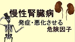 【腎臓病】あなたの腎臓は大丈夫ですか？慢性腎臓病を発症させる危険因子とは！？