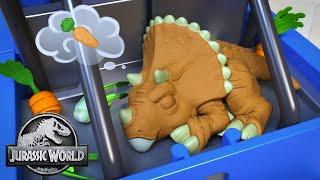 Amazing Dinos and Where to Feed Them | Jurassic World | Kids Adventure Show | Dinosaur Cartoons
