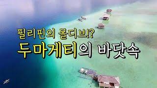 필리핀의 몰디브, 두마게티의 바닷속 4k로 보세요!