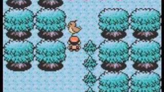 Pokemon Silver/Gold/Crystal - Ilex Forest