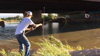 Good Location For River Catfish Fishing