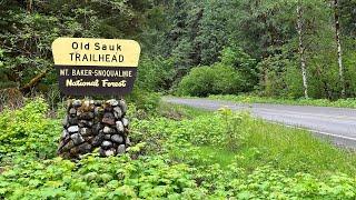 ADA Accessible, hike the Old Sauk River Trail, Darrington, Washington | Forest and River