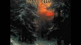 Saltus Wielki las / The mighty forest