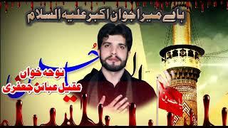 Saraiki Noha - || Haay Mera Jawan Akbar as|| Aqeel Abbas Jafri ||