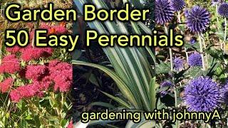 50 Easy Care Perennial Border Plants - Soil Improvement and Maintenance Tips