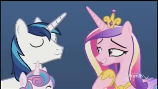 Princess Cadance and Prince Shining Armor flirting