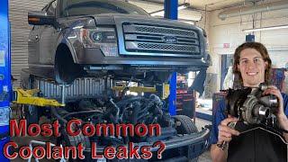 Ford F-150 Most Common Coolant Leaks | 3.5 EcoBoost V6