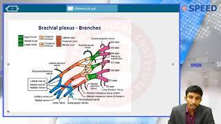 NEET PG  - SPEED Class  -  Upper Limb