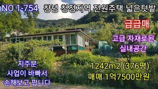 창녕 주변산세 경관최고 청정지역 376평 매매 1억7500만원 지주분이 사업 바빠서 손해보고 팝니다 각종 채소 유실수가 있는 넓은텃밭 (창녕 의령 전원주택 매매) 따봉부동산 TV