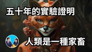 長達五十年實驗證明我們都被馴化過，人類其實是一種家畜 | 老高與小茉 Mr & Mrs Gao