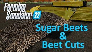 Farming Simulator 22 Tutorial | Sugar Beets & Beet Cuts